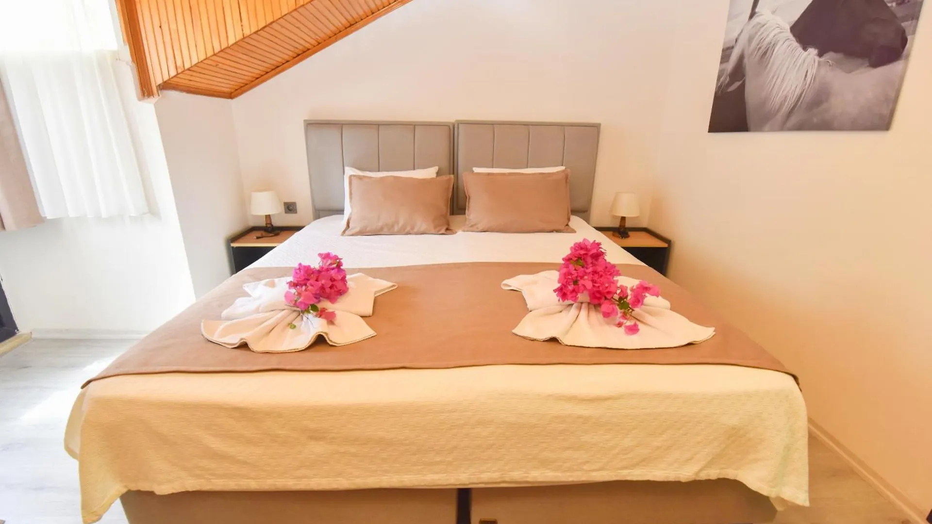 Royalis Boutique Suites 费特希耶 酒店